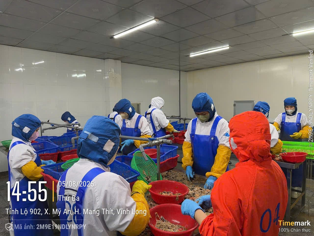 Hình ảnh nhà máy 1