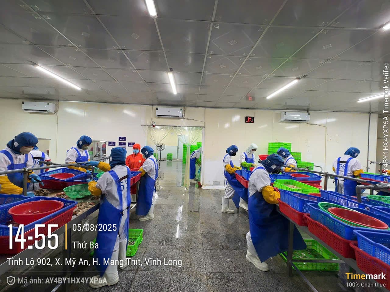 Hình ảnh nhà máy 2