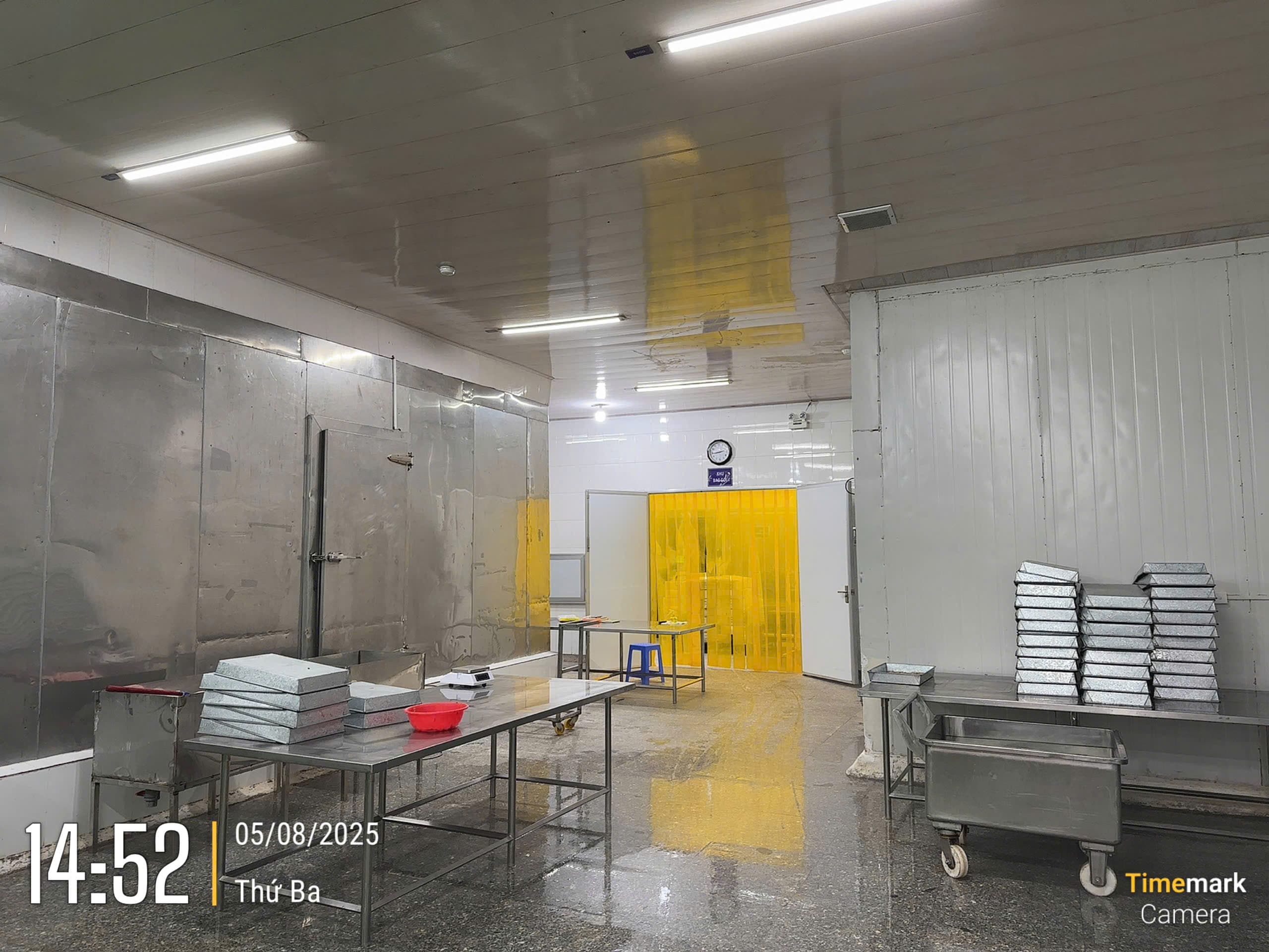 Harvest & Processing