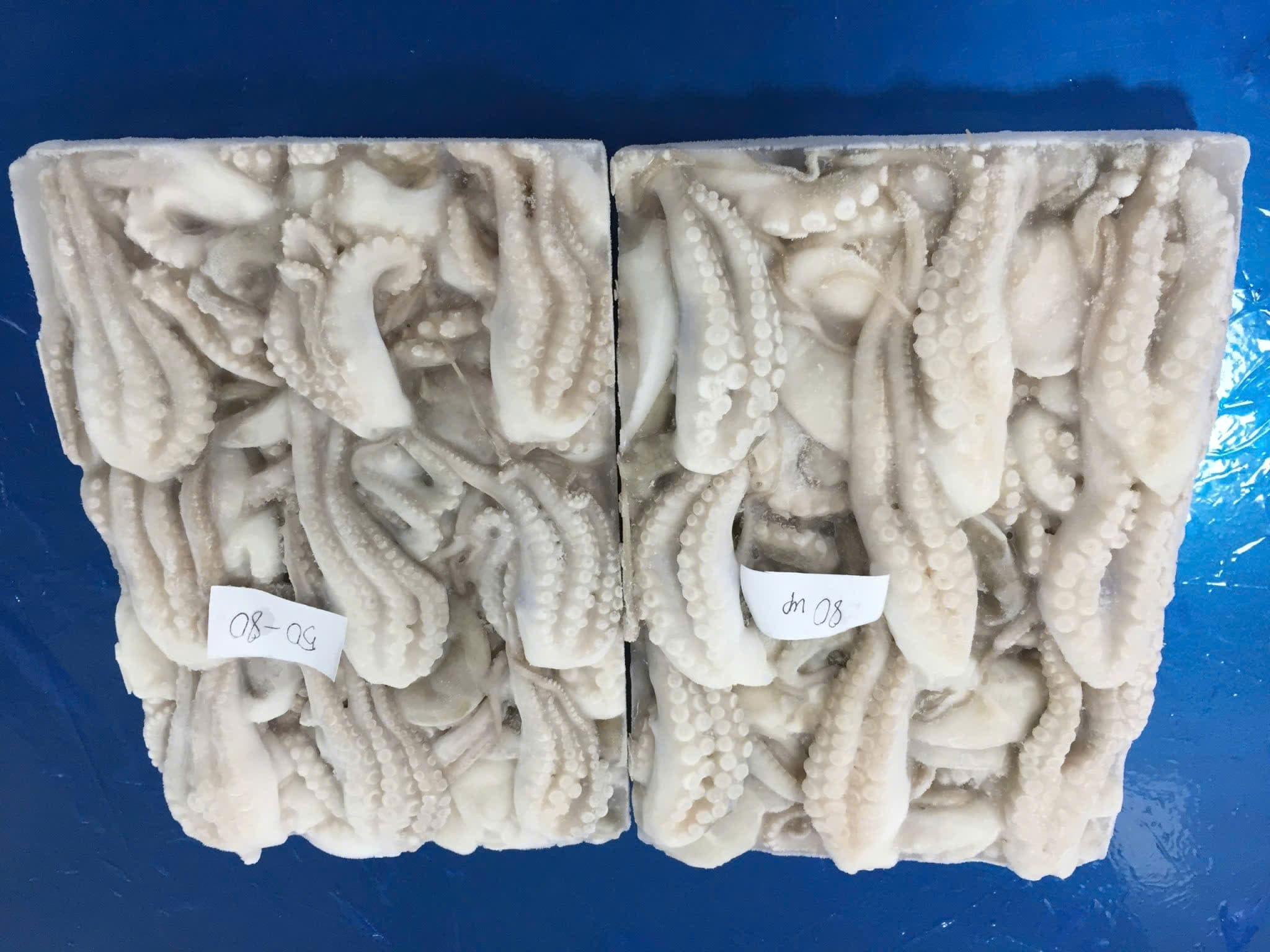 Octopus Cuts image 3