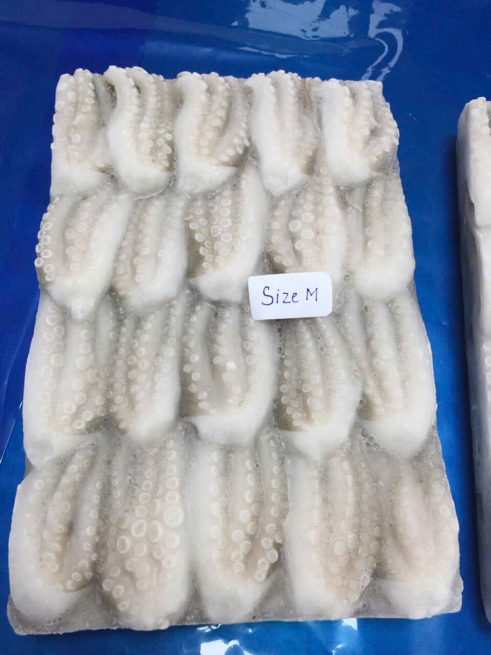 Octopus Cuts image 4